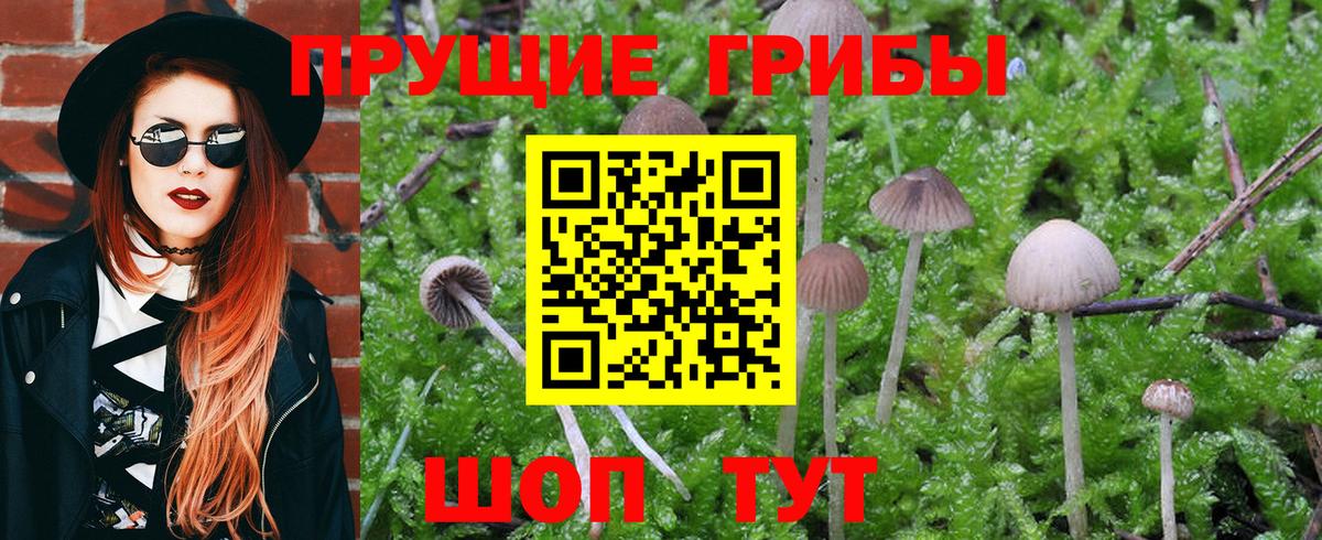 Псилоцибиновые грибы MAGIC MUSHROOMS  Вход с VPN  Находка 